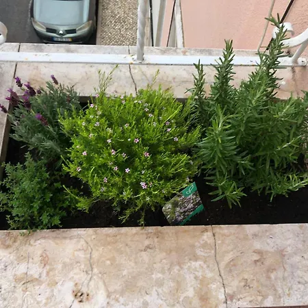 Bento Charming By Sixtyfive Boutique Apartmán Lisboa