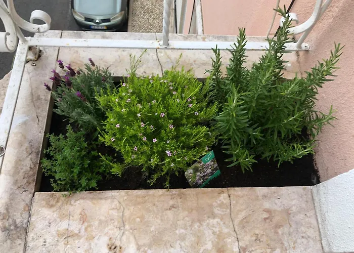 Bento Charming By Sixtyfive Boutique Lejlighed Lisboa